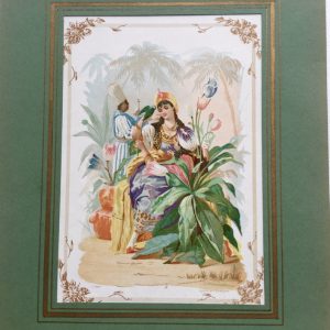 280-LITHOGRAFIA-TULIPA