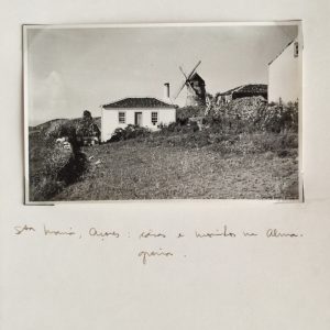 502-FOTO