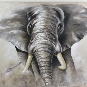 532-	GALERIA - PAOLO GOLINELLI