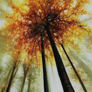 555-	GALERIA - PAULA ALMEIDA