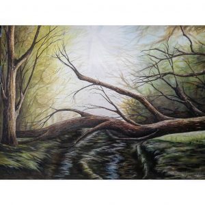 556- GALERIA - PAULA ALMEIDA
